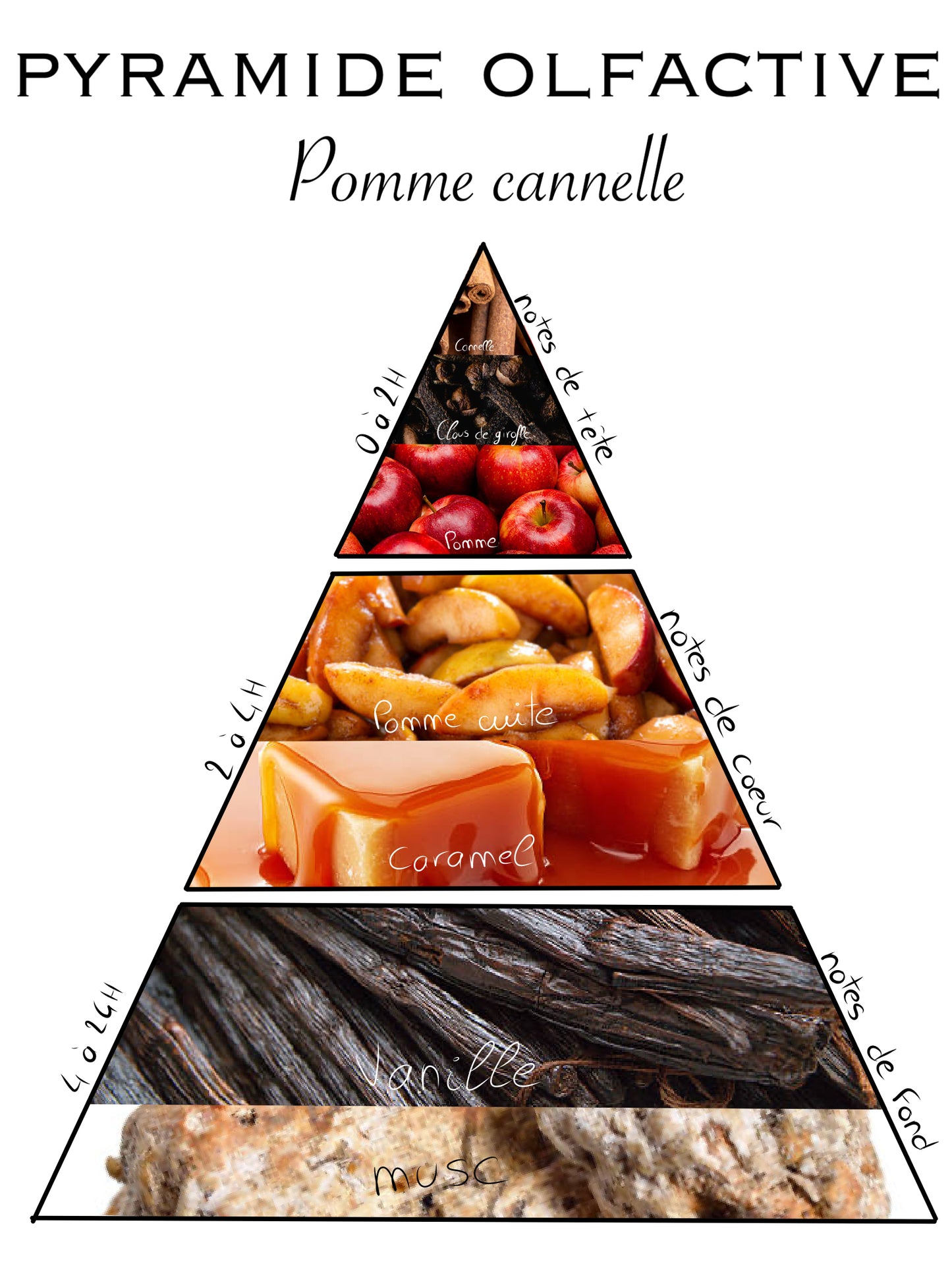 Pyramide olfactive de la bougie Pomme Cannelle, avec des notes de tête de pomme, des notes de cœur de cannelle, et des notes de fond épicées.