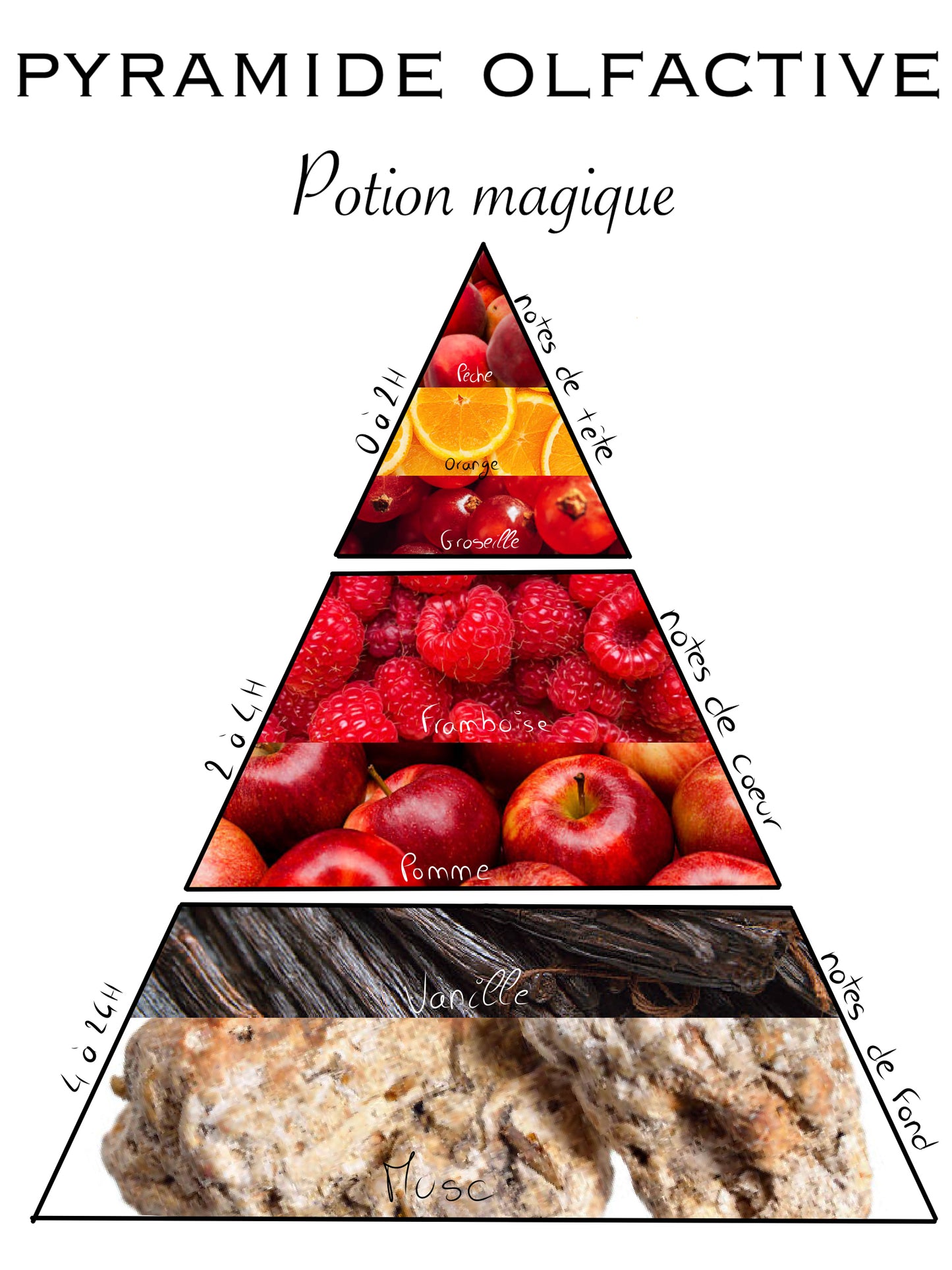 Pyramide olfactive de la bougie Potion Magique, illustrant les notes parfumées envoûtantes qui créent une ambiance mystique et captivante.